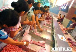 食用農產品價格呈現分化趨勢 豬肉批發價連續兩周下跌，蔬菜價格持續攀升